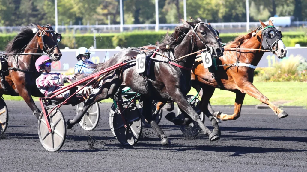 course de trot attelé
