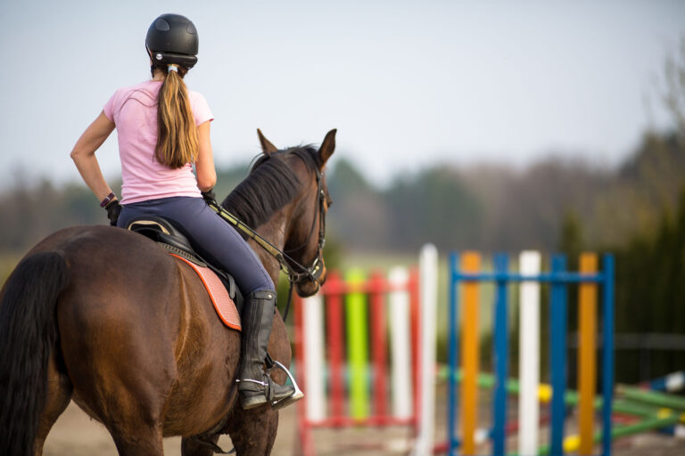Equitation