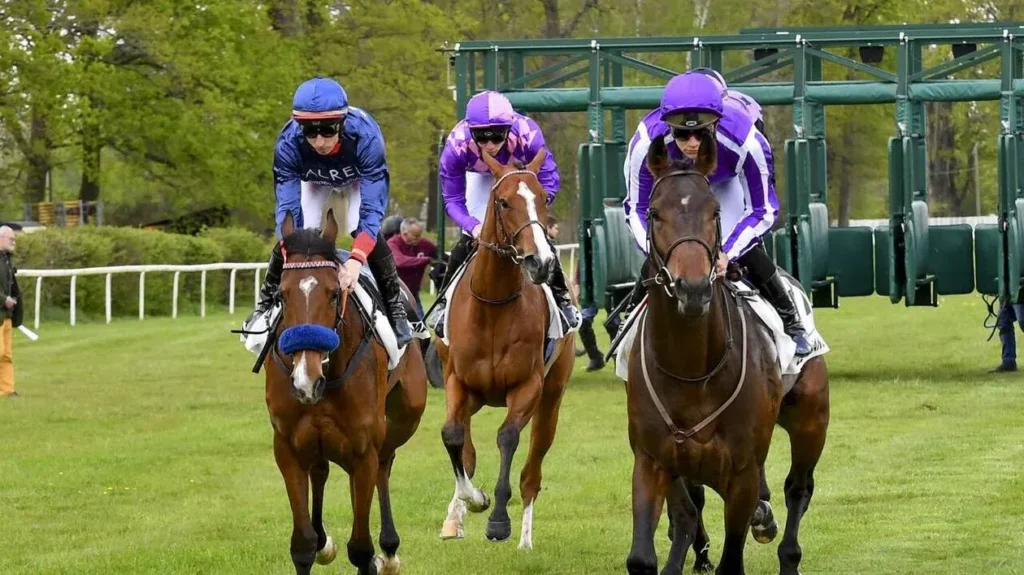 posture jockey : angles genou