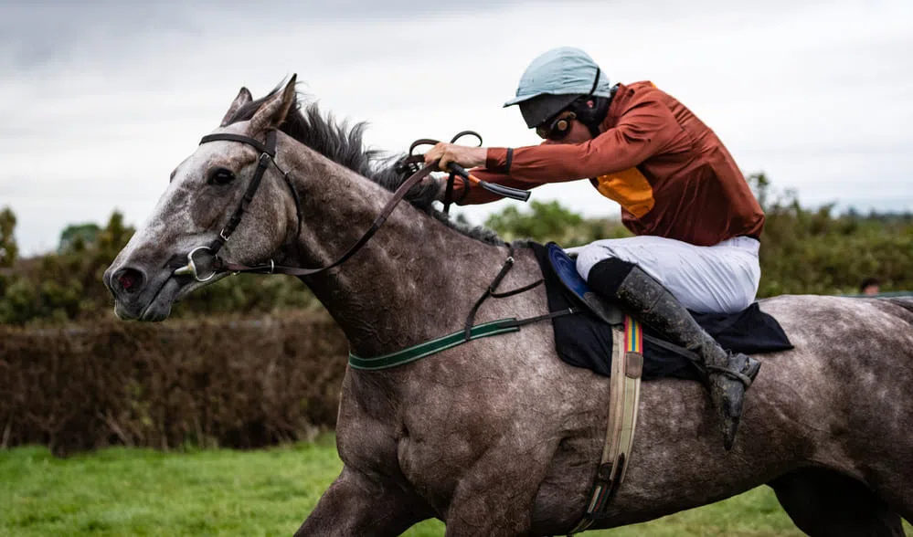 posture en suspension : appuis