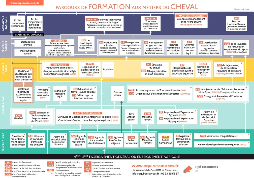 Parcours formation en France 