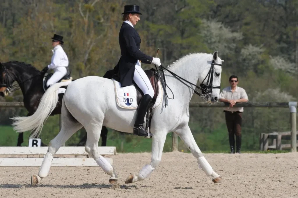 posture en suspension jockey