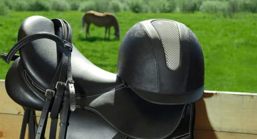 Equipement cheval