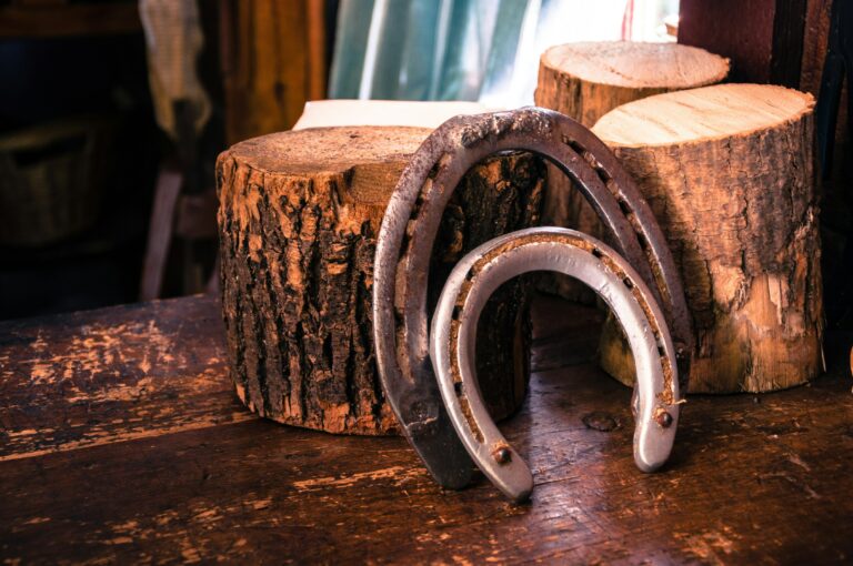 Ferrure de cheval